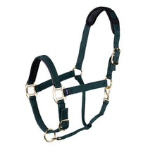 Load image into Gallery viewer, Topaz Leather Breakaway Nylon Headcollar