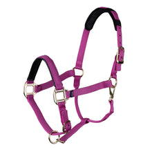 Load image into Gallery viewer, Topaz Leather Breakaway Nylon Headcollar