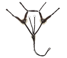 Load image into Gallery viewer, Avignon Five Point Breastplate