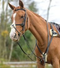 Load image into Gallery viewer, Avignon Five Point Breastplate