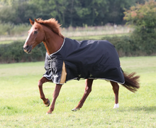 Load image into Gallery viewer, Highlander Plus Turnout Medium (200g)