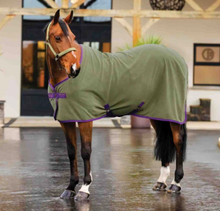 Load image into Gallery viewer, Amigo Fleece Cooler