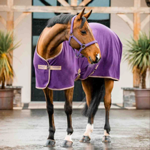 Load image into Gallery viewer, Amigo Fleece Cooler