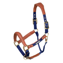 Load image into Gallery viewer, Velocity Lusso Padded Leather Halter with Breakaway