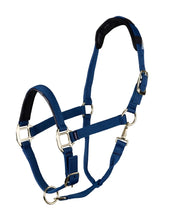 Load image into Gallery viewer, Topaz Leather Breakaway Nylon Headcollar