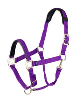 Load image into Gallery viewer, Topaz Leather Breakaway Nylon Headcollar